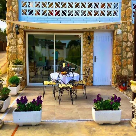 Lemon Tree 몬세라트