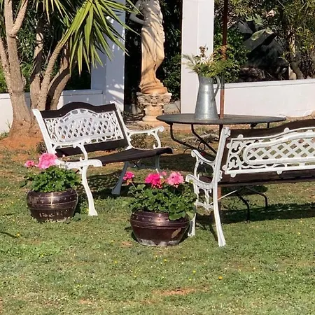 Apartmán Lemon Tree