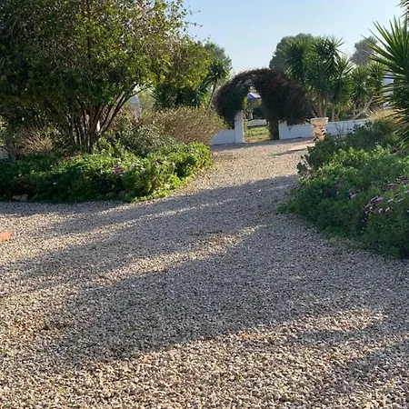 Apartmán Lemon Tree *