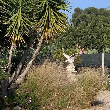 Lemon Tree مونسيرات