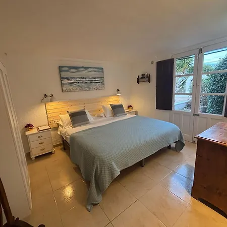 Lemon Tree * Monserrat