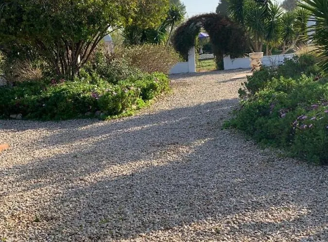 Lejlighed Lemon Tree *