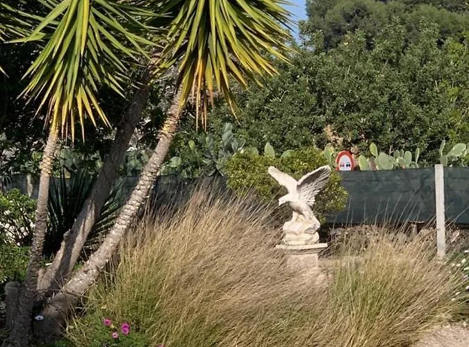 Lemon Tree Monserrat